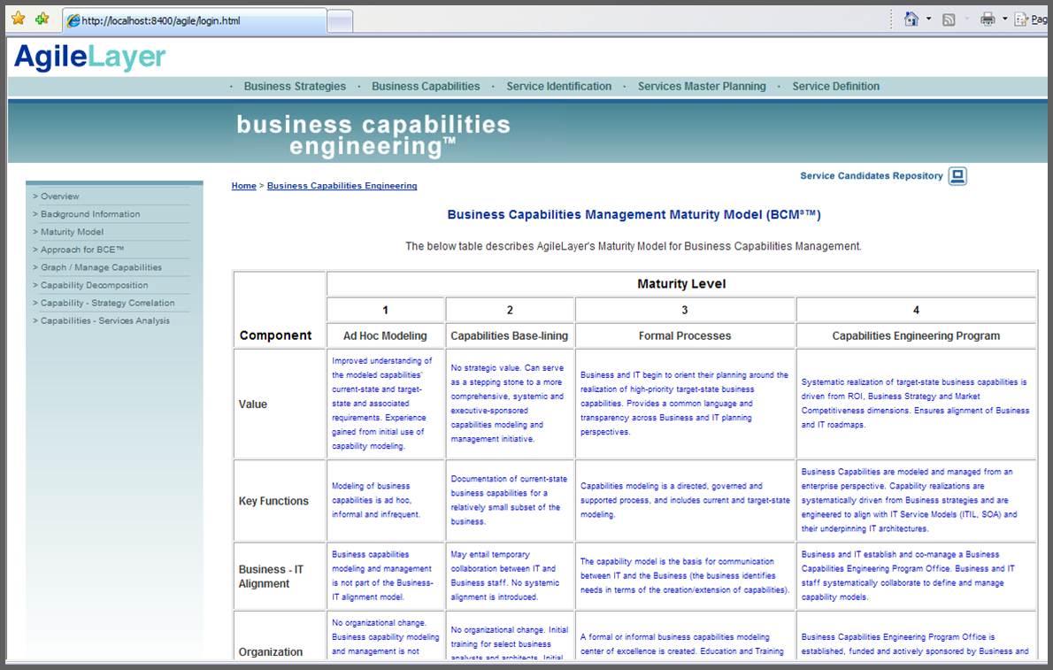 Business Maturity Model
